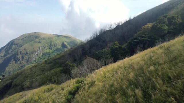 Beautiful 4K drone footage of the golden grassy slopes of Mount Penanggungan and hiking trails under bright sunlight.