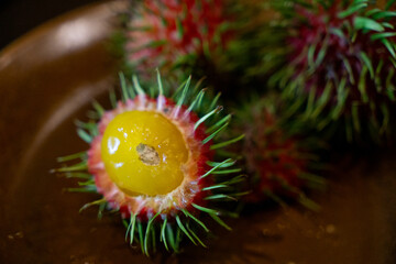 A freshly opened rambutan reveals its bright yellow seed surrounded by spiky red-green skin. © hippomyta