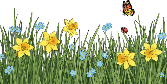 Spring meadow border vector illustration featuring daffodils, blue flowers, butterfly and ladybug in fresh natural grass design