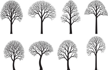 Obraz premium Bare tree silhouette collection featuring various deciduous species with detailed branch structures and minimalist black trunks isolated on white background for architectural landscaping and design.