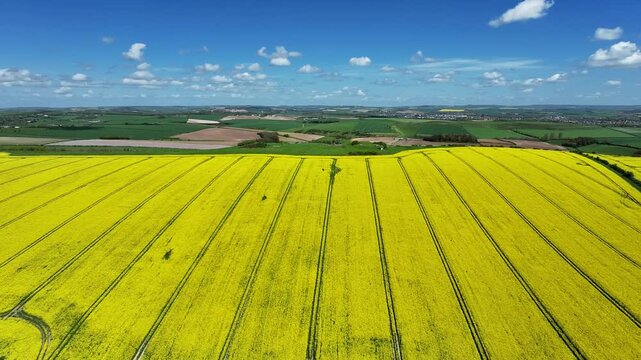 Yellow Rape Field Farm and Blue Skies in the Summer