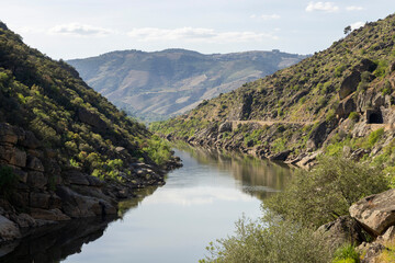 Fototapeta premium Douro river valley landscape with reflecting water