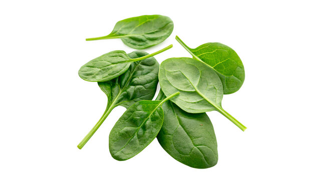 Fresh spinach leaves arranged on a white background for display in a food context