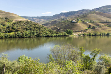 Fototapeta premium Douro river flowing through terraced vineyards valley