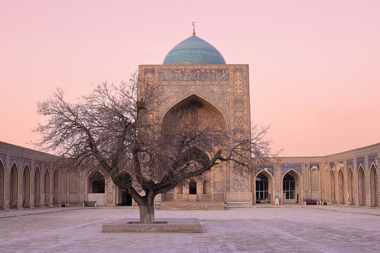 Kalyan Mosque courtyard in Bukhara with a bare tree against the turquoise dome at twilight. Ideal for travel guides, cultural heritage publications, and tourism brochures.