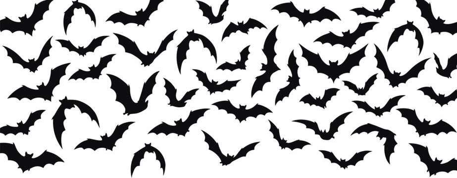 Black bat silhouettes flying in various poses against a white background bats night