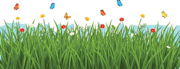 Spring meadow border vector illustration featuring green grass, colorful wildflowers and flying butterflies in bright natural landscape style © jafrine