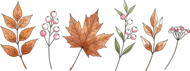 Autumn botanical vector set featuring fall leaves and berry branches in soft hand drawn natural illustration style © mdanichur