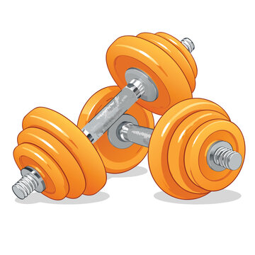 Two heavy iron dumbbells on a white background.
