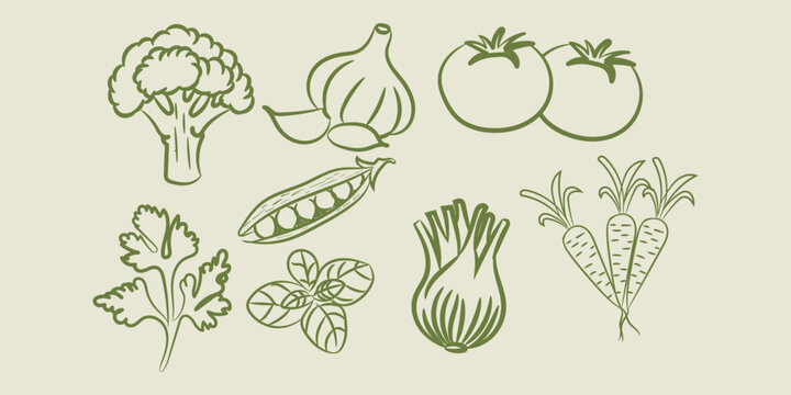 Vegetable doodle set hand drawn vector illustration organic food collection cooking ingredient outline style