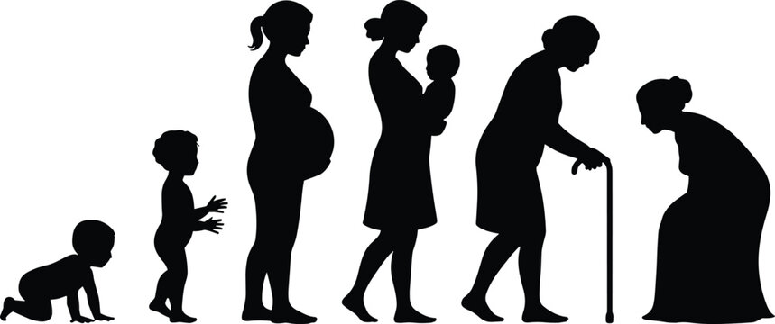 Black silhouette collection of female life stages from crawling baby and pregnant woman to elderly grandmother with a cane representing aging and human development