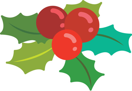 Christmas mistletoe illustration