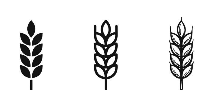 Wheat grain ear icon set. Agriculture, harvest and organic food symbols in different styles.