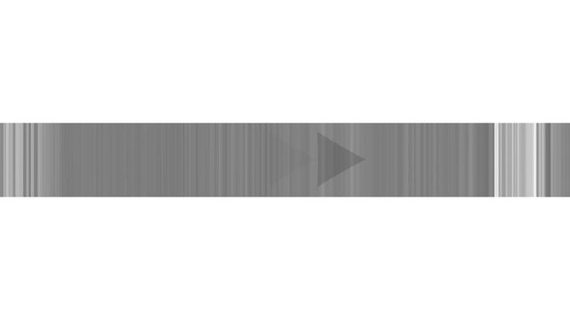 Gray fast forward symbol with vertical gray lines on a white background play next