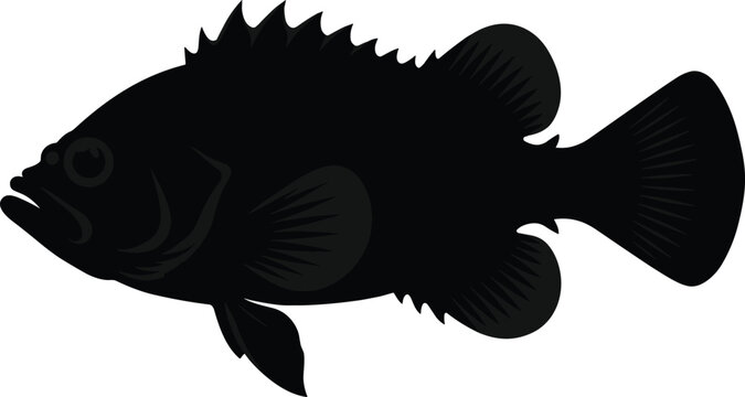 Black Fish Silhouette Isolated on White Background, Freshwater Aquatic Animal Illustration, Marine Wildlife Symbol, Fishing and Nature Design Concept