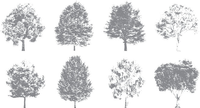 Vector tree and plant sketch with front view design Hand drawn tree illustration for landscape plan layout