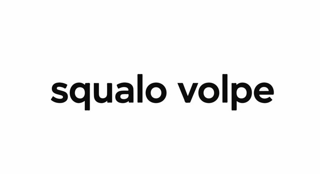 Simple black text "squalo volpe" on a white background