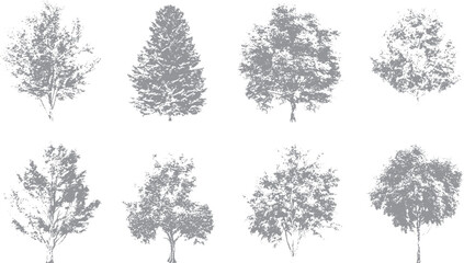 Naklejka premium Minimal plant and tree line drawing for architectural design Botanical sketch set with tree and plant front view