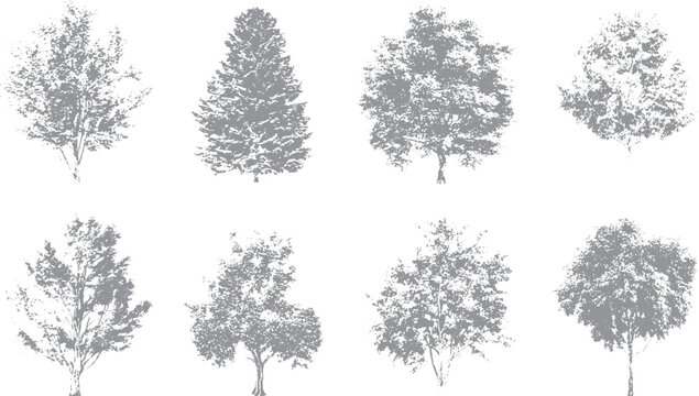 Minimal plant and tree line drawing for architectural design Botanical sketch set with tree and plant front view