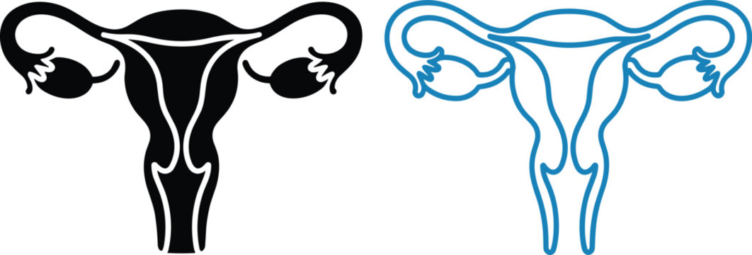 Human female reproductive system uterus and ovaries icon set representing gynecology anatomy women health medical education and fertility vector