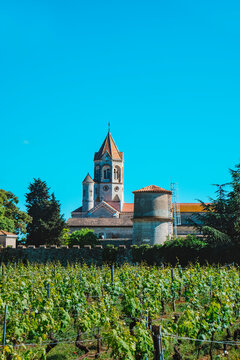 the bell tower of the Lerins Abbey above vineyards