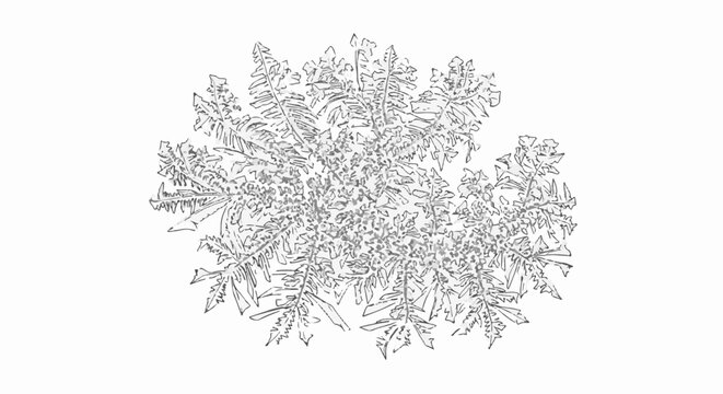 Intricate frozen water crystal with delicate branching fractal patterns on white