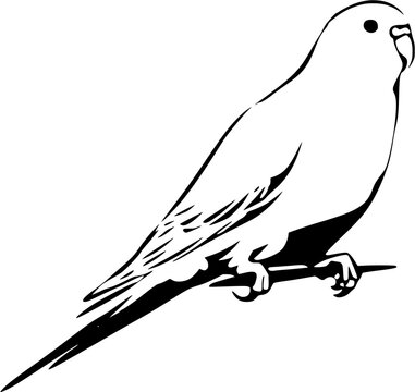 A white parakeet perches gracefully on a branch, its sleek form accentuated by the detailed black lines of its cuttlebone calcium bird supplement packaging