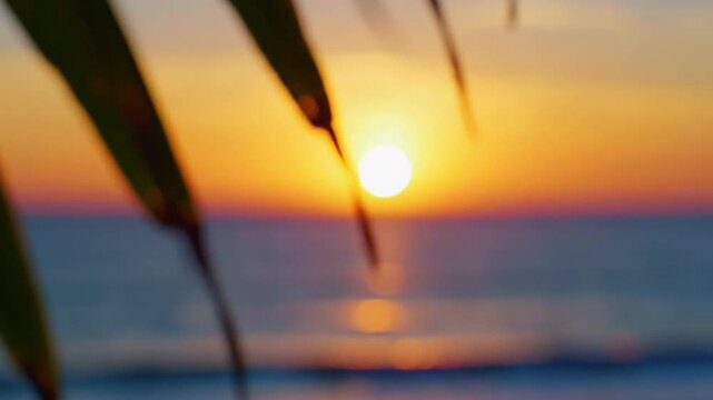 Sunset reflections beachside location nature photography calm environment close-up view tranquility concept for serene experiences