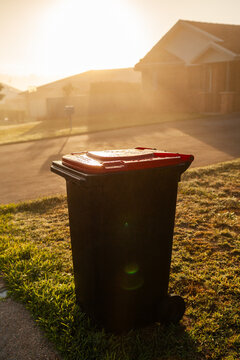 Golden sunlight on misty morning over rubbish bin out for fortnightly curbside pickup