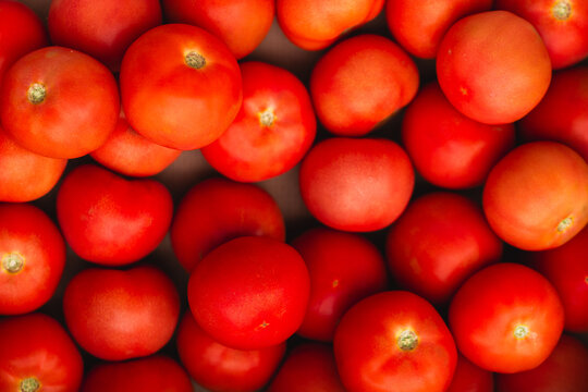 Full box of fresh red tomato fruit from overhead