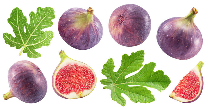 Set of fig fruits, fig leaves and fig pieces isolated on white background. File contains clipping paths.