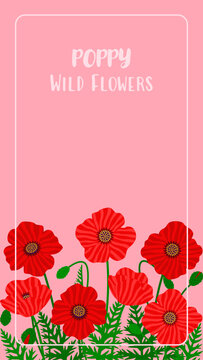 Red poppy flowers vertical template for planner cover or mobile wallpaper. Botanical papaver meadow floral frame with copy space for text. Summer nature journal vector flat illustration.