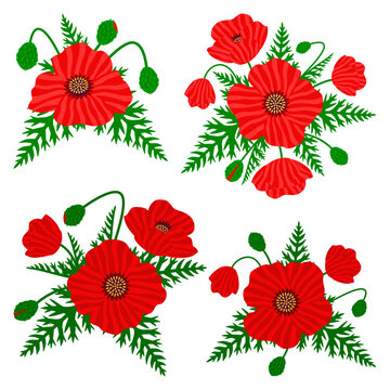 Wild poppy bouquets set. Botanical papaver floral arrangements with blooming flowers, buds and leaves, isolated on white. Decorative meadow nature vector illustration