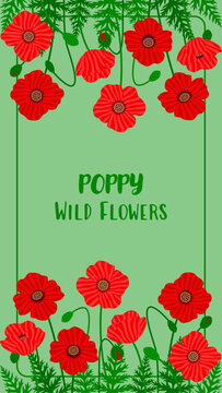 Wild poppy flowers vertical background. Botanical papaver floral border template with copy space for social media story or poster. Summer meadow nature frame. Flat style vector illustration.