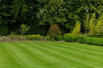 Naklejka premium Manicured green lawn with prominent stripes bordered by lush trees and landscaped hedges in a formal English garden