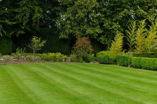 Manicured green lawn with prominent stripes bordered by lush trees and landscaped hedges in a formal English garden