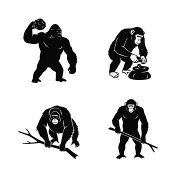 Black silhouette vector collection of great apes demonstrating intelligence and strength, including gorilla, chimpanzee, and orangutan.