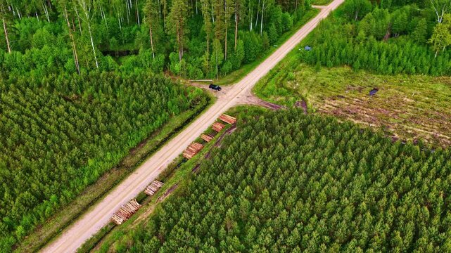 Aerial ascending shot over a forest crossroads in Latvia reveals a black car navigating a gravel road with timber log stacks and a clearcut area in lush boreal summer woodland