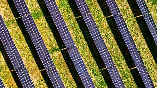 Nadir aerial glide reveals bold geometric pattern of diagonal photovoltaic solar panel rows casting deep shadows over green and yellow grass beneath