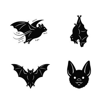 Black bat silhouette illustrations set, featuring flying, hanging, and bat face designs with symbolic words.