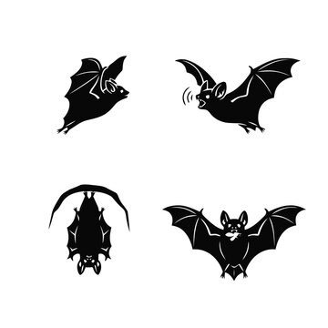 Set of four black bat silhouettes in various poses: flying, echolocating, hanging, and catching a fish, suitable for nature and Halloween designs.