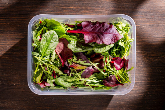 Fresh mixed salad leaves in plastic container on wooden background. Organic salad mix with spinach arugula and beet leaves in transparent plastic box on dark wooden table with hard shadows, top view