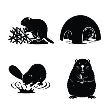 Set of black silhouette beaver illustrations depicting various natural behaviors like dam building, lodge dwelling, tail slapping, and holding wood.