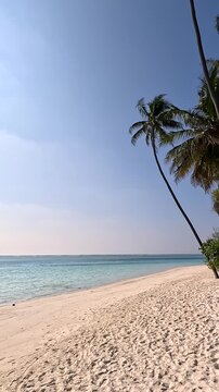 Tropical Beach with Palm Tree and Turquoise Sea, Empty White Sand Coast, Travel Background, Copy Space, Vertical Video. Empty coastline with no people, ideal for travel advertising, vacation concepts.