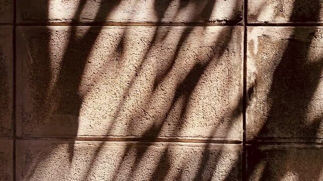 Abstract geometric background of strong tree shadow lines on a rough concrete block wall.