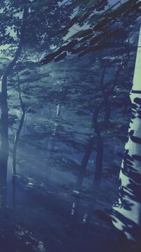 Sunlight filters through tall trees in a forest. The scene shows shadows and light creating a soft glow in the early morning. The time is serene and natural.