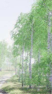 A group of tall trees with white bark stands in a forest. Sunlight filters through the leaves, creating a bright scene in spring. Green grass grows around the base of the trees.