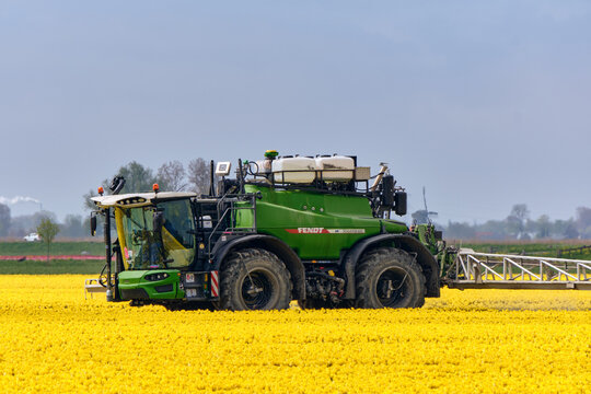 Agricultural Sprayer Applying Pesticides To Yellow Tulip Field In