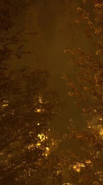 Lights from nearby buildings shine through tree branches at night. The scene shows a hazy view with a warm glow surrounding the foliage. The park is quiet and not crowded.