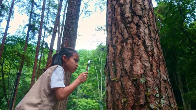 Curious young Asian girl using a magnifying glass to explore tree bark in a pine forest, nature education and outdoor science learning concept.